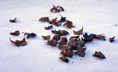 FINAL ACT by fawzia khan