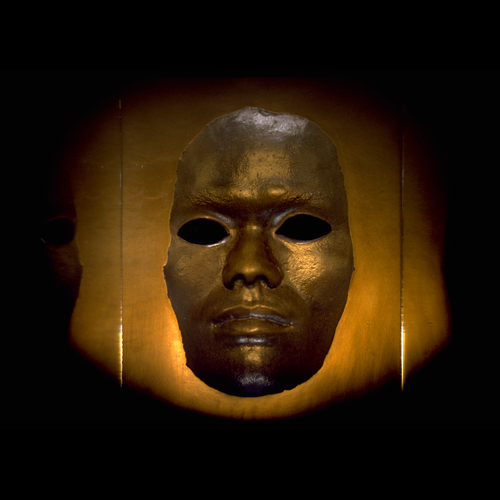 THE OTHER by fawzia khan