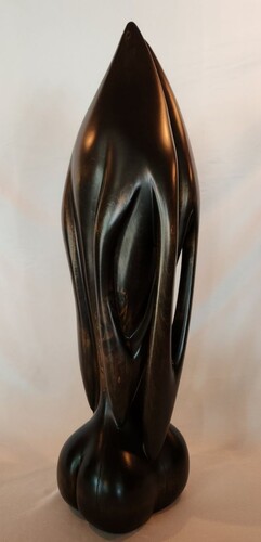 EMBRACE  by steven  hudak